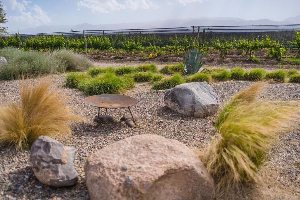 Casa Crux - Bodega Alfa Crux Villa Eugenio Bustos Екстериор снимка